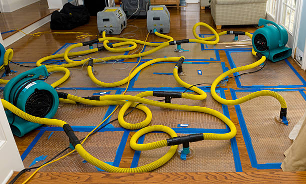 Professional Structural Drying And Dehumidification technician working in Danvers, IL